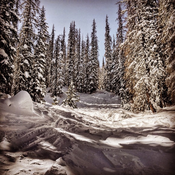 Meet your Posher, Mel - Picture 1 of 1